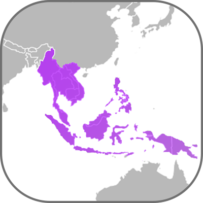 Юго-Восточный азиатский осветительный рынок