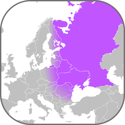 Восточно-европейский рынок освещения